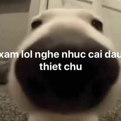 list nhac cua may thang xam lz