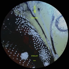 Premiere: Olympios — Everlast [RM26]