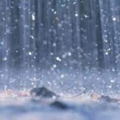 and when it rains it pours 2 • the pad bank