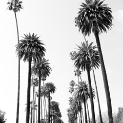 Down The Road Again~Reprise 2024