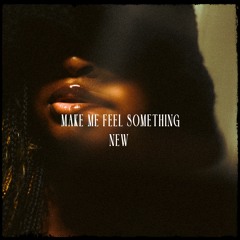 Make Me Feel Something New