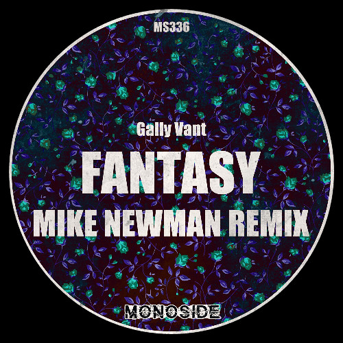 Gally Vant - FANTASY (Mike Newman 'Guitar Dub' Remix) // MS336