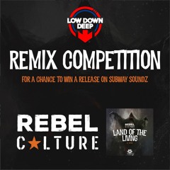 Rebel Culture - Land of the Living - Fiyafly Remix