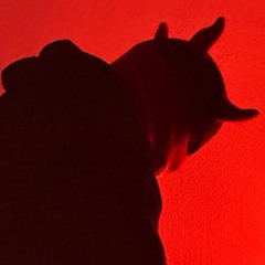 Blerta geht Soul freestyle