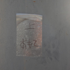 N型hoshino - たましひはなし（prod. Chang diz）