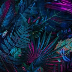 Neon Tropics
