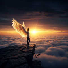 Maybe This Time I’ll Fly