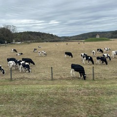 twin flames dance at night