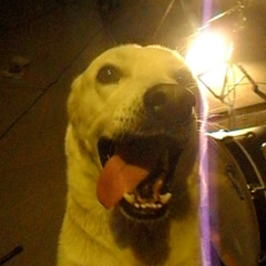 La verdad Live Session (Bonus)