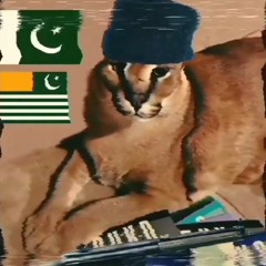 Millat ke pasbano (Pakistani War song)