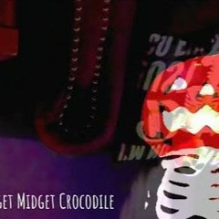 Midget Midget Crocodile - Spooky