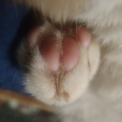 Semaine 4 : Des news