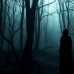 eFerrer - Hiding in the Darkness - May 2025