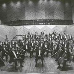 vinyl orchestra - Instrumental BoomBap Old School Underground 2020