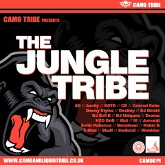 (Drum Pusher Premiere) Pablo G - Fever (Camo Tribe)