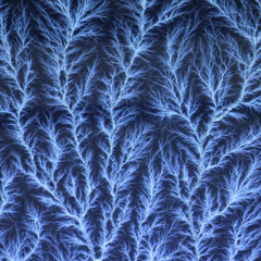 Myself x Nuts Ledger Mix