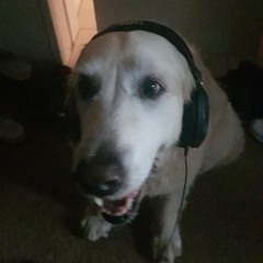 Comme Des Garcons (@elfesher + @hiiidrax)