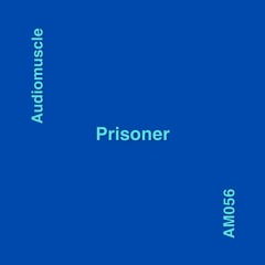 Prisoner (Original Mix) [AM056)
