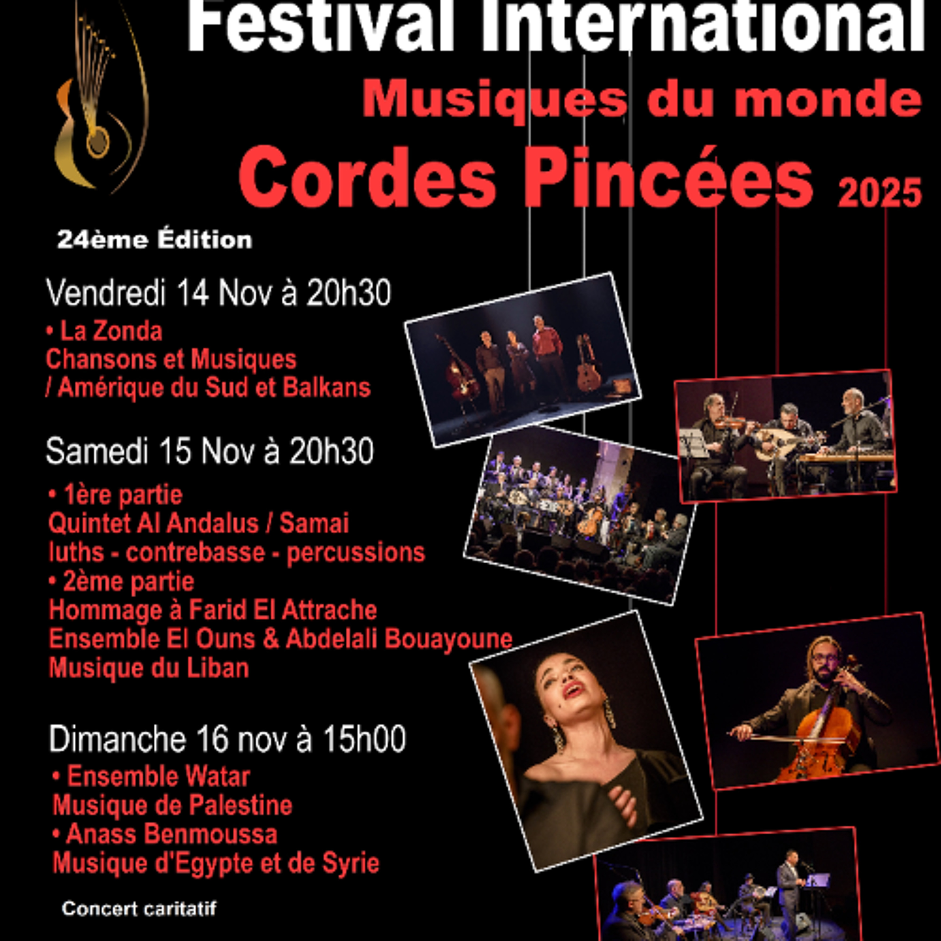 RFL101 Festival des cordes pincées 14 15 16 nov 2025 episode artwork