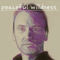 ADHD Adults Podcast - Peaceful Wildness (feat Alex, James and Sam)