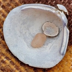 Nick Nairoby . ~ -  Spring Sun