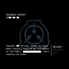 11 - Incident Report