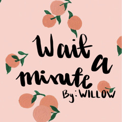 Wait a Minute! by WILLOW~8d audio slowed+reverb