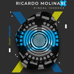 Ricardo Molinari - Deluxe (Original Mix)