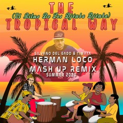 The Tropical Way - Silvano Del Gado ft. Timaya ( Herman Loco Mashup Remix 2020 Ext. Mix)