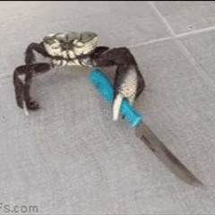 fist
