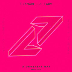 A Different Way (Kayzo Remix) [feat. Lauv]