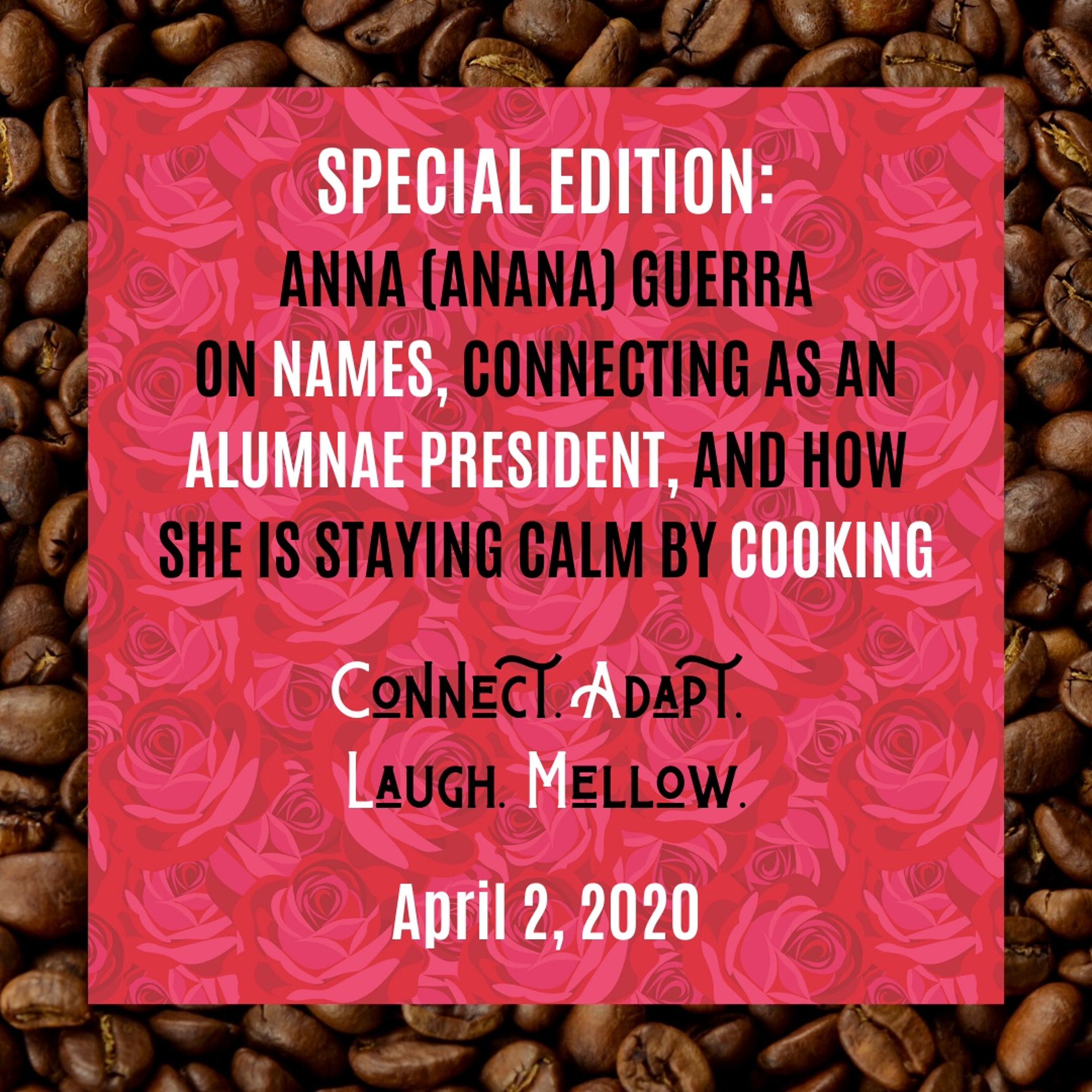 SES1E8: Staying Calm and Connecting with Anna Guerra (From the IP Archives) episode artwork