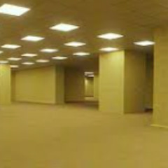 the backrooms