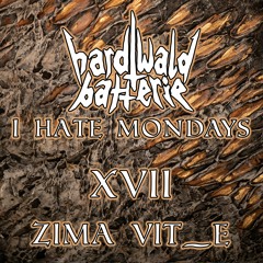 I Hate Mondays XVII | Zima Vit_e | Acid Techno | 130 BPM