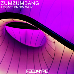 FEEL HYPE: Zumzumbang - I don't know why (Original Mix)| FEE122