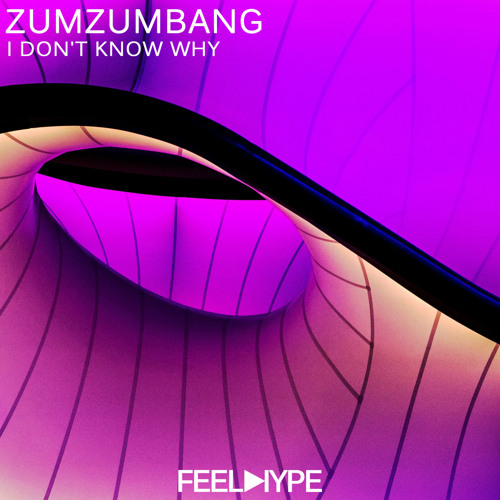 FEEL HYPE: Zumzumbang - I don't know why (Original Mix)| FEE122