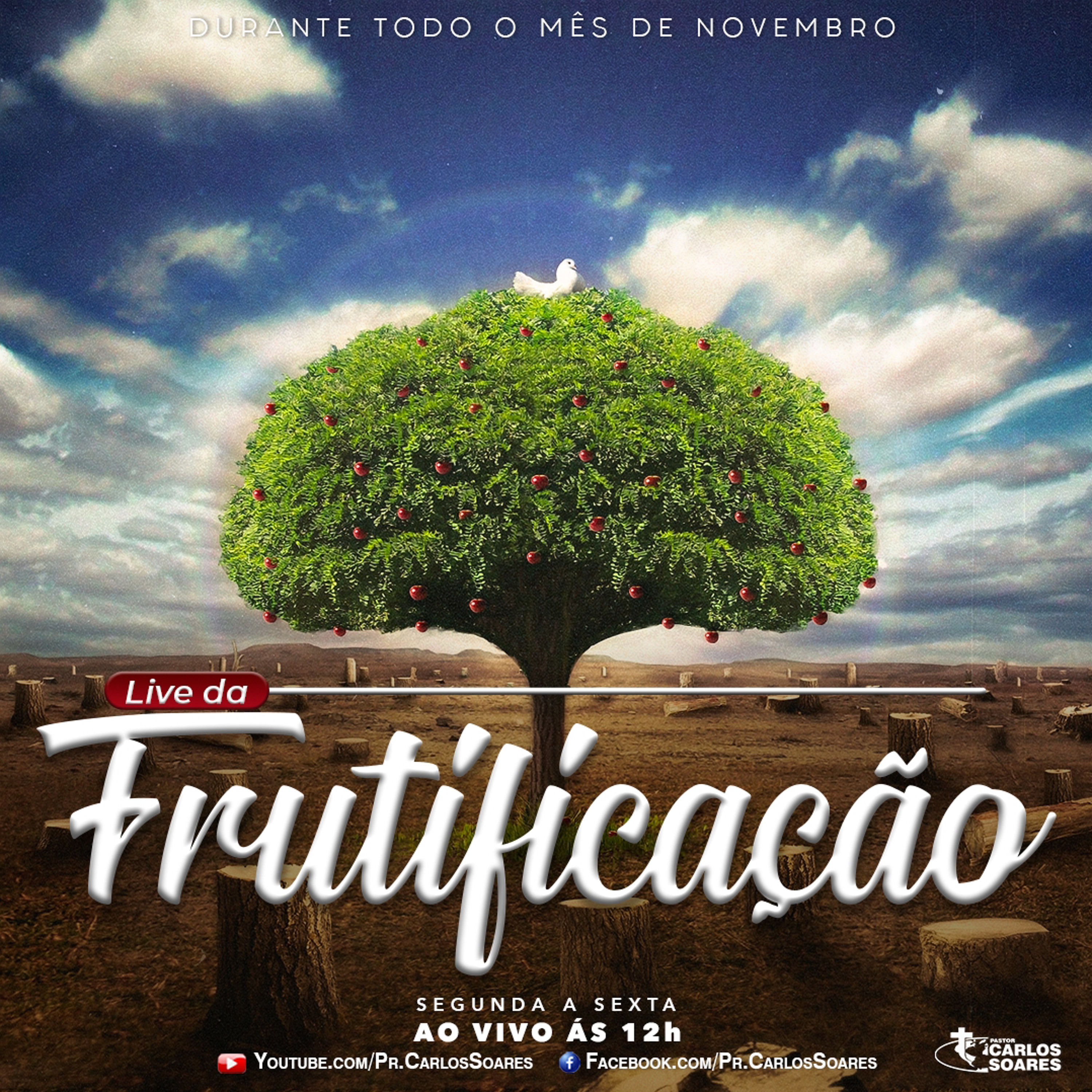 Pr. Carlos Soares
