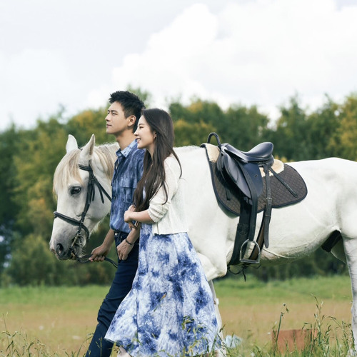 Saddle of my heart – Teloupe | Đi Đến Nơi Có Gió .mp3
