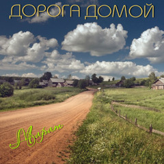 Дорога домой