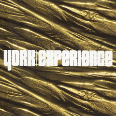 Fields Of Love (YORK Dub Mix) [feat. ATB]