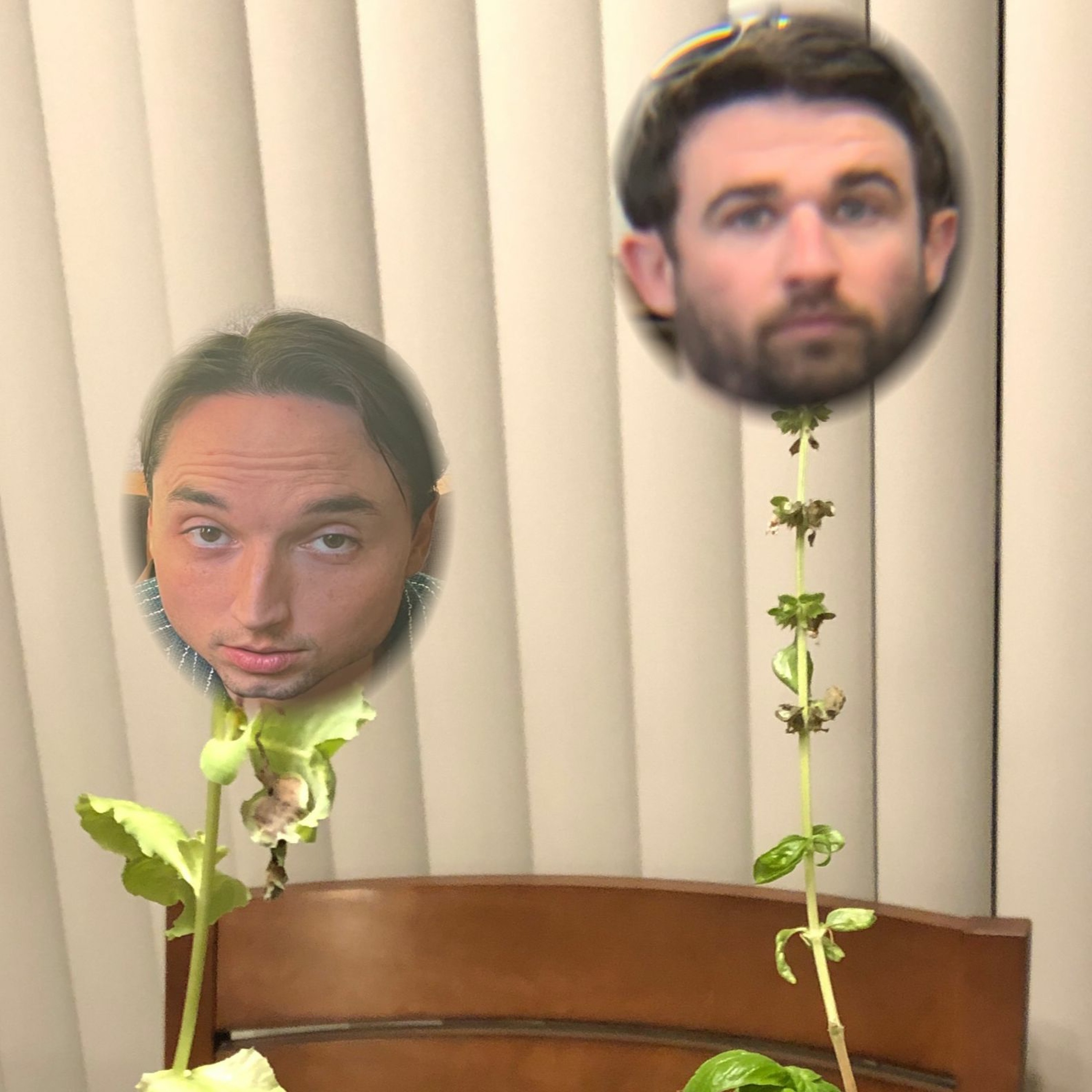 Henry & Timmy Podcast
