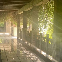 BLOW EM DOWN (1luor)