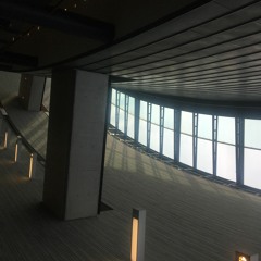 PAOLO L. BANDERA "Massa Autocratica"