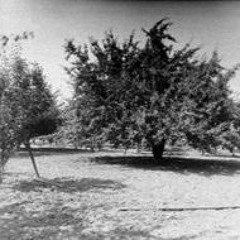 Lowen Mix Orchard (2)