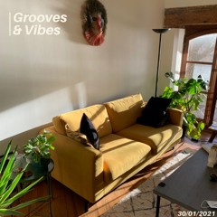 Grooves & Vibes