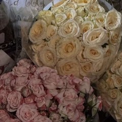 عبدالمجيد عبدالله X حروف الضياء