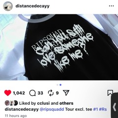 destroy she said flip (ripsquad)