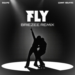 FLY - Quavo, Lenny Kravitz (BRIEZEE Remix)