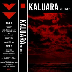 Radioblog 09.09.2020 - Kaluara Vol 1