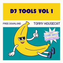 THDT1 - DJ Tool 1 (Free Download)